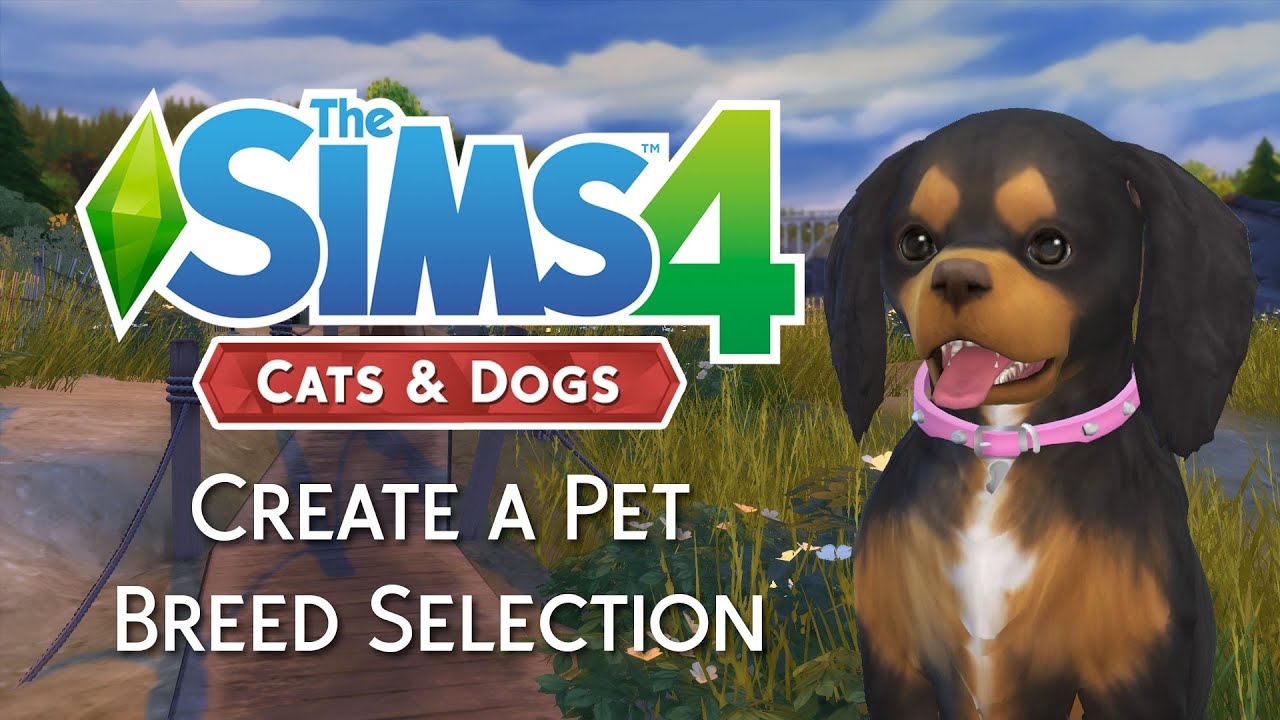 The sims 4 pets downloads cc